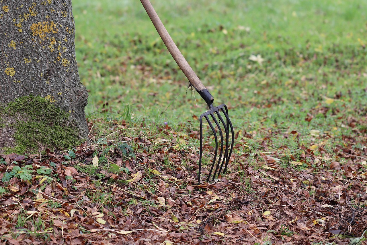Foglie secche utilizzate come pacciamatura per proteggere le piante dal gelo in giardino.