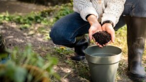 Terriccio universale per piante in vaso, con una varietà di piante verdi in un contesto di giardinaggio.