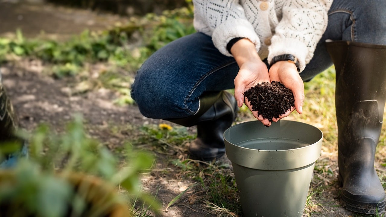 Terriccio universale per piante in vaso, con una varietà di piante verdi in un contesto di giardinaggio.