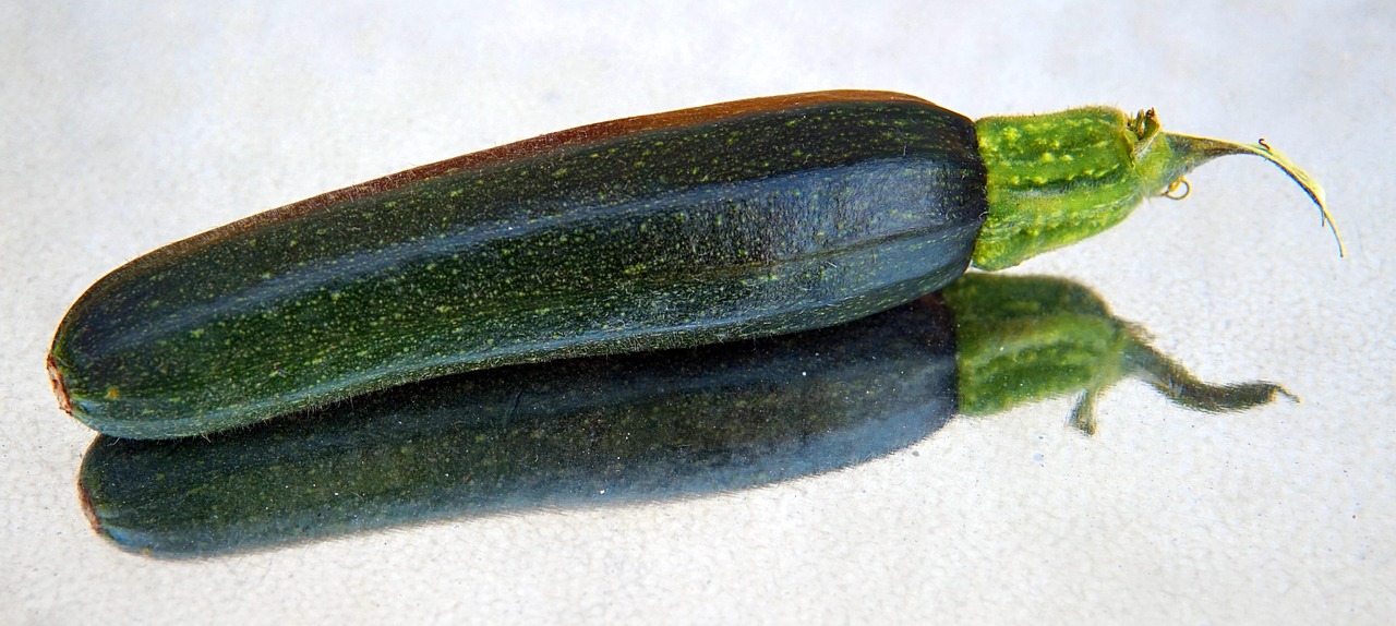Zucchine giovani che mostrano segni di marciscenza, evidenziando il problema dell'impollinazione manuale.